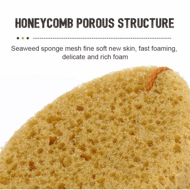 เครื่องมือทำความสะอาดบ้าน Melamine Sponge Professional