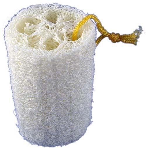 Eco Scoure ที่ดีที่สุดในประเทศจีนคืออะไร?